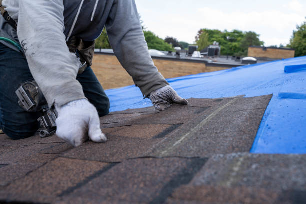 Best Gutter Installation and Roofing  in Hopewell, NJ